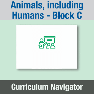 Image of Year 01 Science (Animals, including Humans - Block C) Curriculum Navigator CUSP ResourceAccess Summer 140x195mm Printed in Black;    1 Leaf Set in pads of 16