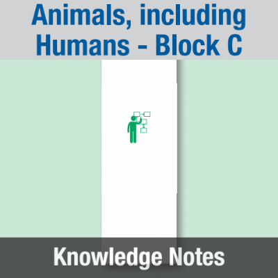 Image of Year 01 Science (Animals, including Humans - Block C) Knowledge Notes CUSP ResourceAccess Summer 58.5x234mm Printed in Black;    3 Leaf Set in pads of 16