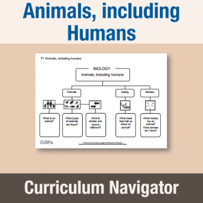 Image of Year 1 Science (Animals, including Humans) Curriculum Navigator CN CUSP Resource