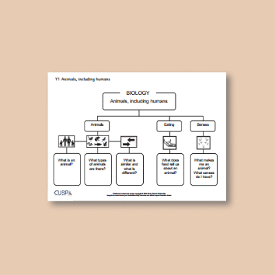 Y1 Science (Animals, including Humans) Curriculum Navigator CN