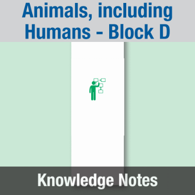 Image of Year 01 Science (Animals, including Humans - Block D) Knowledge Notes CUSP ResourceAccess Summer 58.5x234mm Printed in Black;    4 Leaf Set in pads of 16
