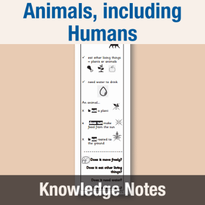 Image of Year 1 Science (Animals, including Humans) Knowledge Notes KN CUSP Resource