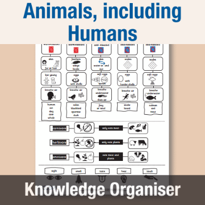 Image of Year 1 Science (Animals, including Humans) Knowledge Organiser KO CUSP Resource