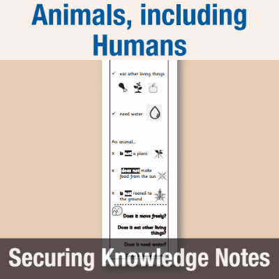 Image of Year 1 Science (Animals, including Humans) Knowledge Notes SKN CUSP Resource