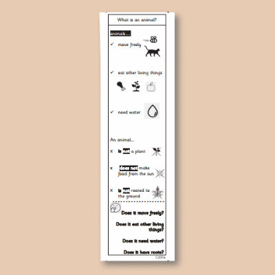 Y1 Science (Animals, including Humans) Knowledge Notes SKN