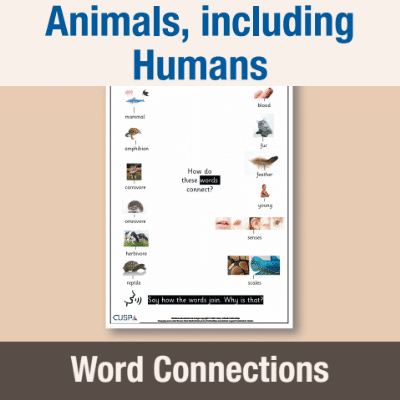 Image of Year 1 Science (Animals, including Humans) Word Connections WC CUSP Resource