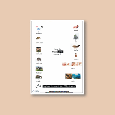 Y1 Science (Animals, including Humans) Word Connections WC