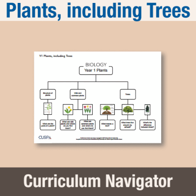 Image of Year 1 Science (Plants, including Trees) Curriculum Navigator CN CUSP Resource