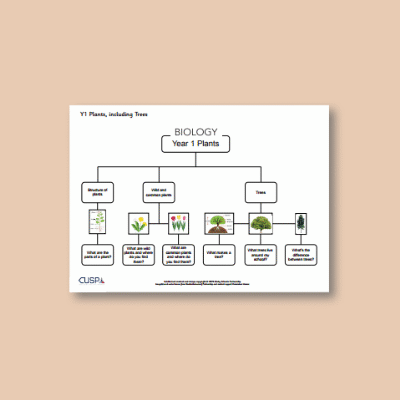 Y1 Science (Plants, including Trees) Curriculum Navigator CN