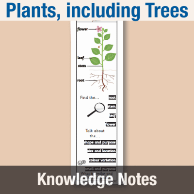 Image of Year 1 Science (Plants, including Trees) Knowledge Notes KN CUSP Resource