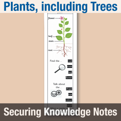 Image of Year 1 Science (Introduce Plant - Trees) Knowledge Notes SKN CUSP Resource