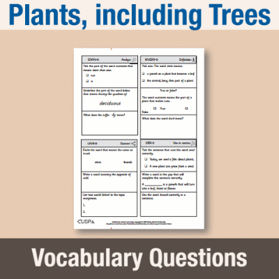 Image of Year 1 Science (Plants, including Trees) Vocabulary Questions VQ CUSP Resource