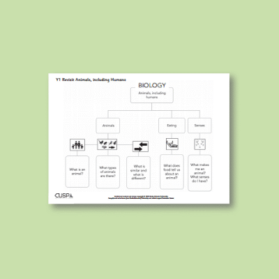 Y1 Science (Revisit: Animals, Including Humans) Curriculum Navigator CN