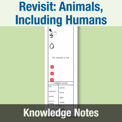 Image of Year 1 Science (Revisit: Animals, Including Humans) Knowledge Notes KN CUSP Resource