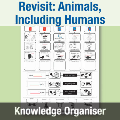 Image of Year 1 Science (Revisit: Animals, Including Humans), Partial Knowledge Organiser KO CUSP Resource