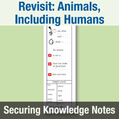 Image of Year 1 Science (Revisit: Animals, Including Humans) Knowledge Notes SKN CUSP Resource