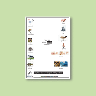 Y1 Science (Revisit: Animals, Including Humans) Word Connections WC