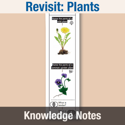 Image of Year 1 Science (Revisit: Plants) 1 Knowledge Notes KN CUSP Resource