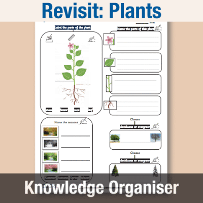 Image of Year 1 Science (Revisit: Plants) 1 Knowledge Organiser KO CUSP Resource