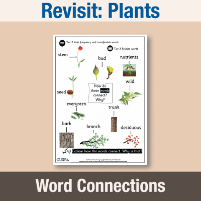 Image of Year 1 Science (Revisit: Plants) 1 Word Connections WC CUSP Resource