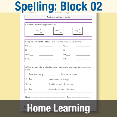 Image of Year 1 Spelling Block 02 Home Learning HL CUSP Resource
