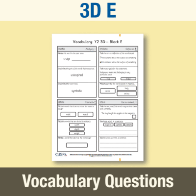 Image of Year 2 Art and Design E (3D) Vocabulary Questions VQ CUSP Resource