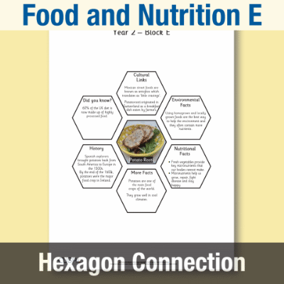 Image of Year 2 DT E (Food and Nutrition) AR1 Significant Designers Hexagon Connections CUSP Resource