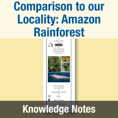 Image of Year 2 Geography (Compare a Different Non-European Location to our Locality - Amazon Rainforest) Knowledge Notes KN CUSP Resource