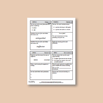 Y2 History (Events Beyond Living Memory - Great Fire of London) Vocabulary Questions VQ
