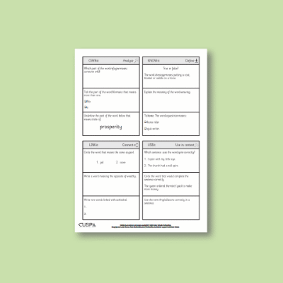 Y2 History (Significant Historical Events, People, Places: Norwich) Vocabulary Questions VQ
