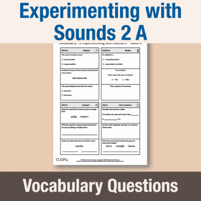 Image of Year 2 Music A (Experimenting with Sounds 2) Vocabulary Questions VQ CUSP Resource