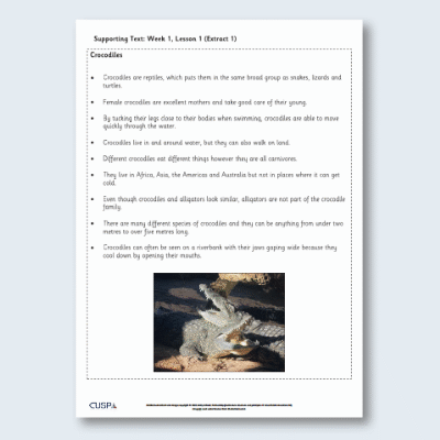 Y2 Reading (The Enormous Crocodile 2) Supporting Text ST