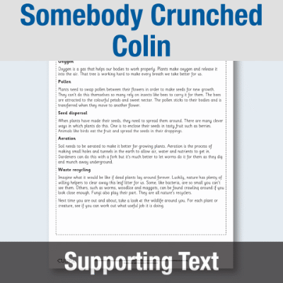 Image of Year 2 Reading (Somebody Crunched Colin) Supporting Text ST CUSP Resource