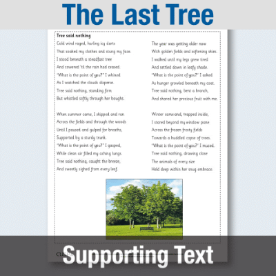 Image of Year 2 Reading (The Last Tree) Supporting Text ST CUSP Resource