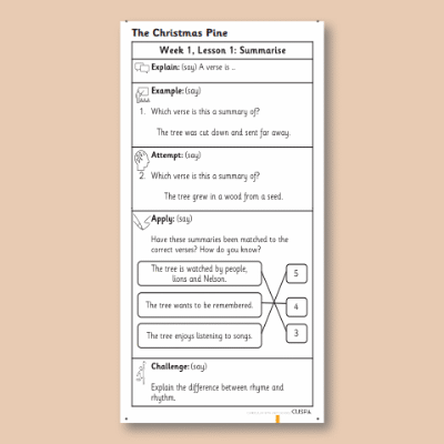 Y2 Reading (The Christmas Pine) Knowledge Notes KN