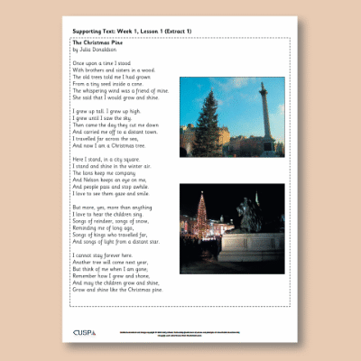 Y2 Reading (The Christmas Pine) Supporting Text ST
