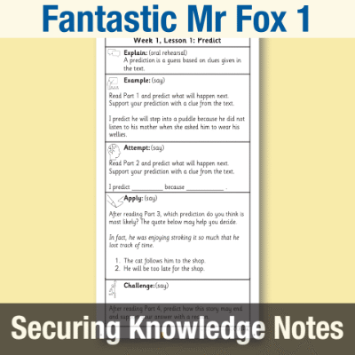 Image of Year 2 Reading (Fantastic Mr Fox 1) Knowledge Notes SKN CUSP Resource