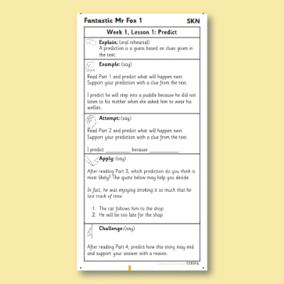 Y2 Reading (Fantastic Mr Fox 1) Knowledge Notes SKN
