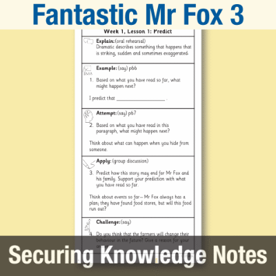 Image of Year 2 Reading (Fantastic Mr Fox 3) Knowledge Notes SKN CUSP Resource