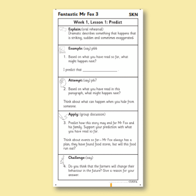 Y2 Reading (Fantastic Mr Fox 3) Knowledge Notes SKN