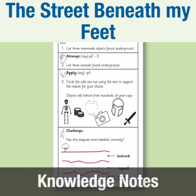 Image of Year 2 Reading (The Street Beneath my Feet) Knowledge Notes KN CUSP Resource