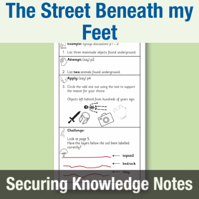 Image of Year 2 Reading (The Street Beneath my Feet) Knowledge Notes SKN CUSP Resource