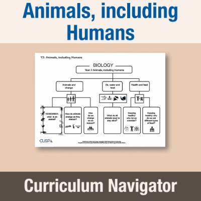 Image of Year 2 Science (Animals, including Humans) Curriculum Navigator CN CUSP Resource