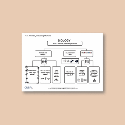 Y2 Science (Animals, including Humans) Curriculum Navigator CN