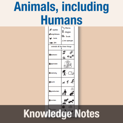 Image of Year 2 Science (Animals, including Humans) Knowledge Notes KN CUSP Resource