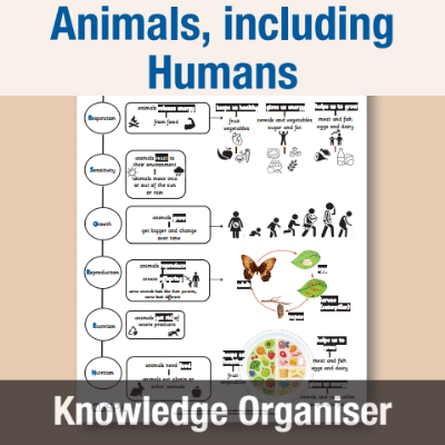 Image of Year 2 Science (Animals, including Humans) Knowledge Organiser KO CUSP Resource