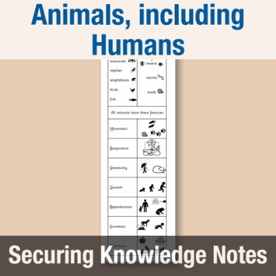 Image of Year 2 Science (Animals, including Humans) Knowledge Notes SKN CUSP Resource