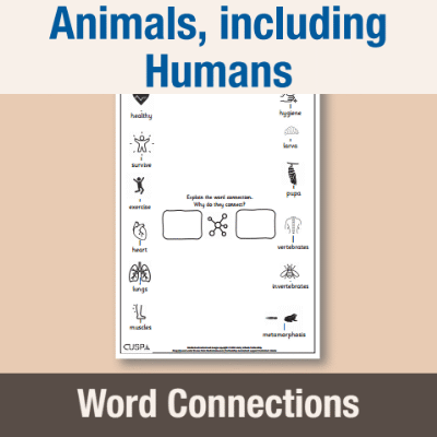 Image of Year 2 Science (Animals, including Humans) Word Connections WC CUSP Resource