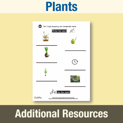 Image of Year 2 Science (Plants) AR1 High Frequency Transferable Words CUSP Resource