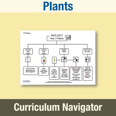 Image of Year 2 Science (Plants) Curriculum Navigator CN CUSP Resource